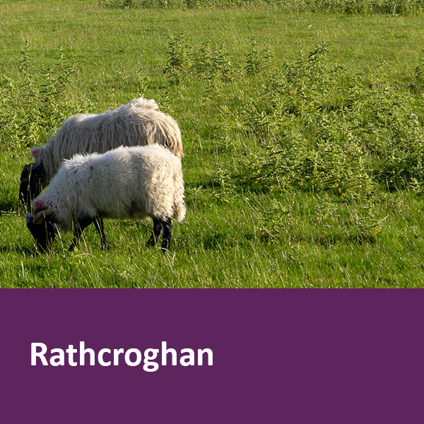 Rathcroghan 1